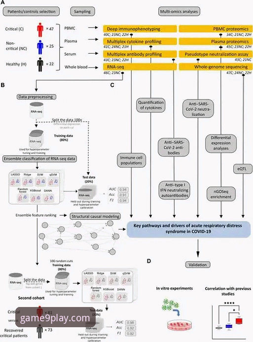 九游官网2026最新版本 如何评估帕尼切利伤退对阿根廷队战术体系的影响?一次技术角度的深度剖析